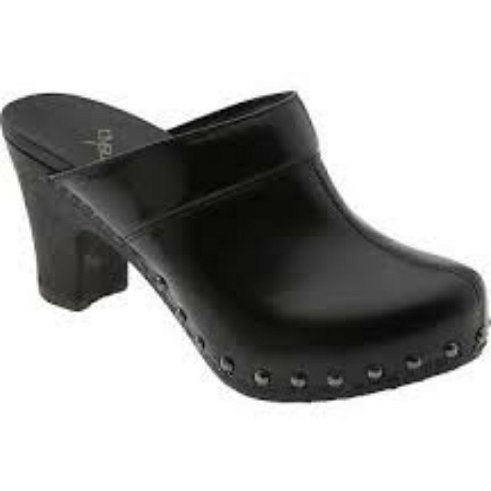 Dansko Clogs